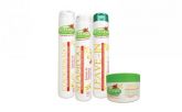 Kit Manutenção 4 passos extrat liss