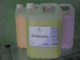 shampoo e condicionador